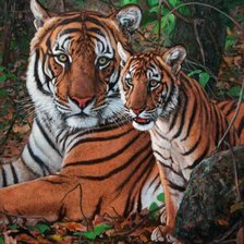 Схема вышивки «тигры»