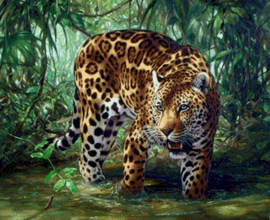 гепард - картина - предпросмотр