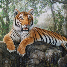 Схема вышивки «тигр»