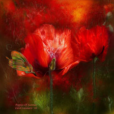 Схема вышивки «Carol Cavalaris»