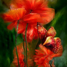 Схема вышивки «Carol Cavalaris»