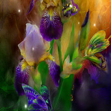 Схема вышивки «Carol Cavalaris»