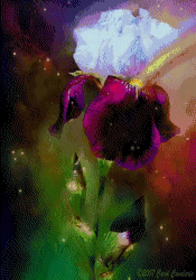 Carol Cavalaris - kwiaty, irys - предпросмотр