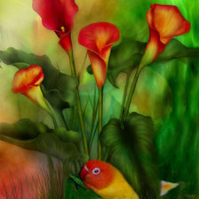 Схема вышивки «Carol Cavalaris»