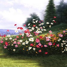 Схема вышивки «Egidio Antonaccio»