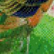 Предпросмотр схемы вышивки «Павлины 2» (№539765)