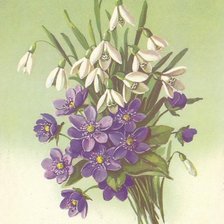 Схема вышивки «№539936»