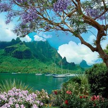 Схема вышивки «адриатика»