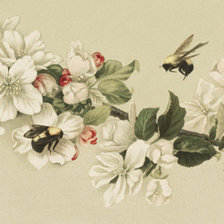 Схема вышивки «№539977»