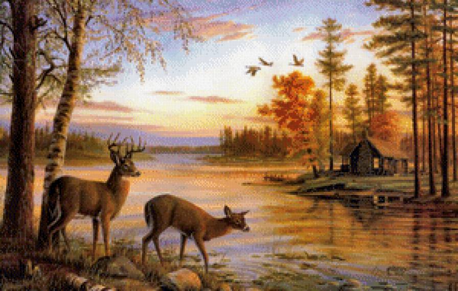 Олени у реки - пейзаж, олени, река - предпросмотр