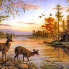 Схема вышивки «Олени у реки»
