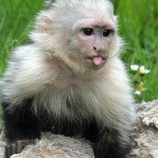 Схема вышивки «????»