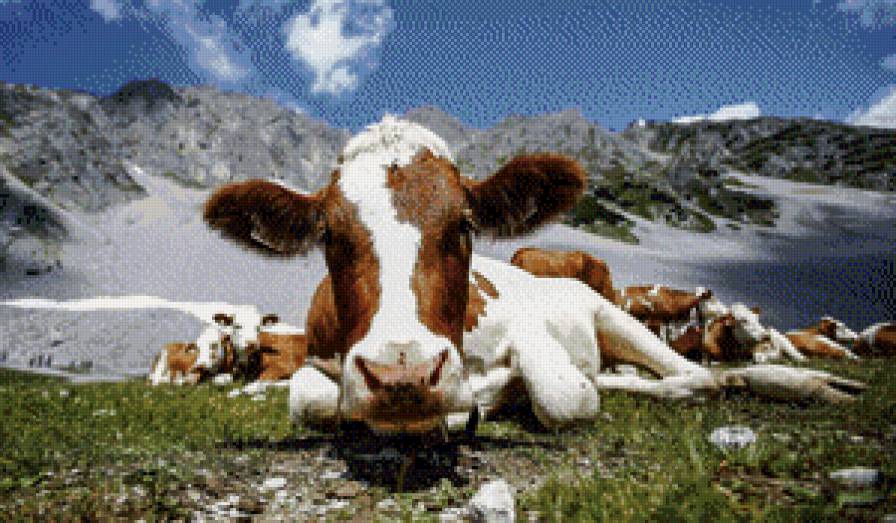 на отдыхе - животные - предпросмотр