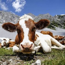 Схема вышивки «на отдыхе»