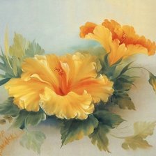 Схема вышивки «цветы гибискуса»