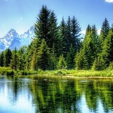 Схема вышивки «лесное озеро»