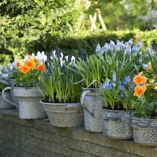 Схема вышивки «цветы»