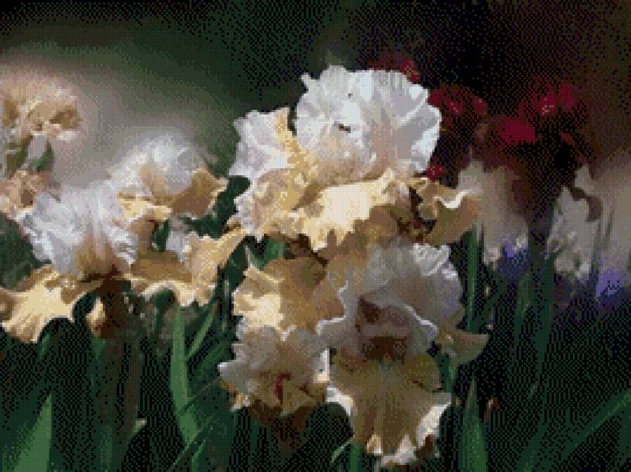 Carol Cavalaris - kwiaty - предпросмотр