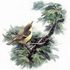 Схема вышивки «№540251»