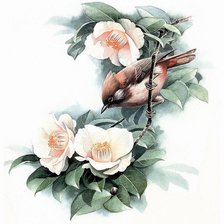 Схема вышивки «№540254»