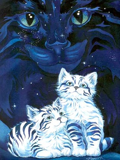 Полосатые котята - животные, котята, глаза, звезды, взгляд, кошки - оригинал