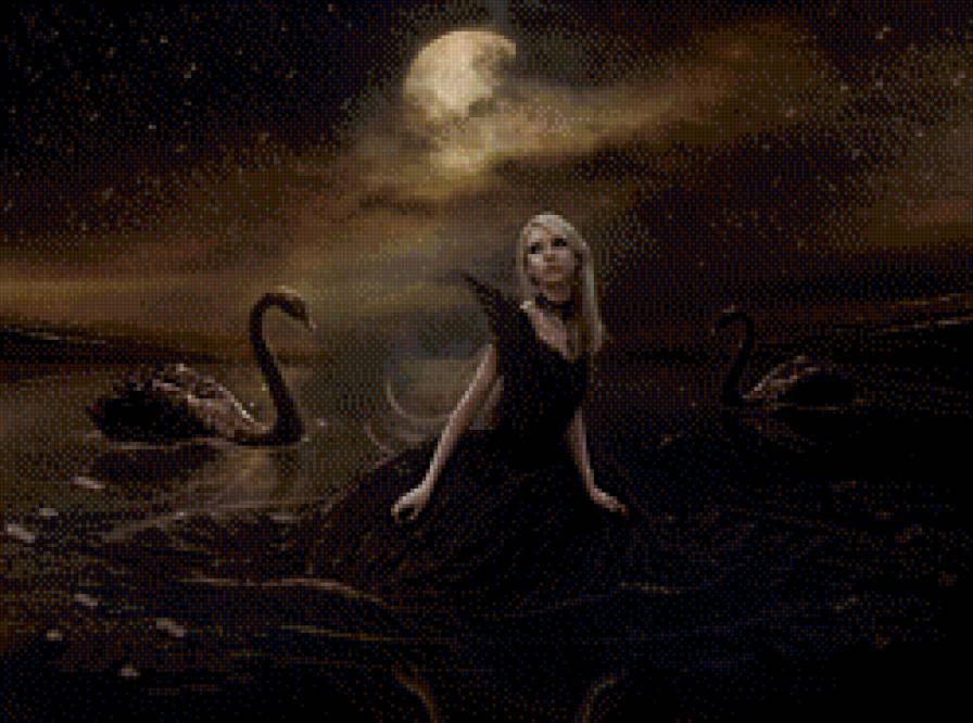 чёрный лебедь - лебедь, девушка - предпросмотр