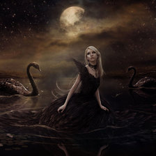 Схема вышивки «чёрный лебедь»