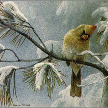 Схема вышивки «зимородок на сосновой ветке»