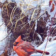 Схема вышивки «зимородок ...»