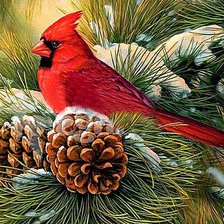 Схема вышивки «зимородок»