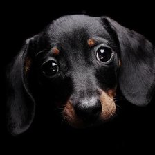 Схема вышивки «портрет»