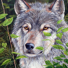 Схема вышивки «волк»