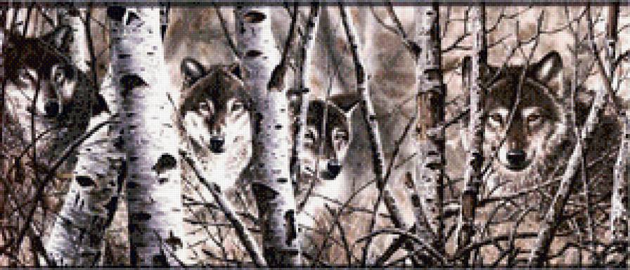 волки - животные, природа, волки, лес - предпросмотр