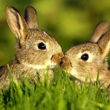 Схема вышивки «зайки»