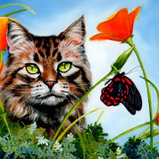 Схема вышивки «кот и цветы»