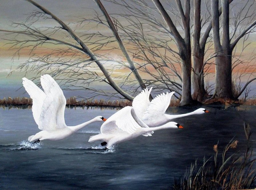 лебединое озеро - водоем, пейзаж, лебеди, озеро, птицы - оригинал