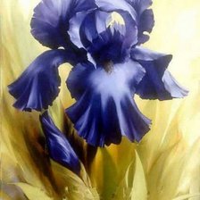 Схема вышивки «ирис»