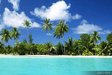 Схема вышивки «райский уголок»