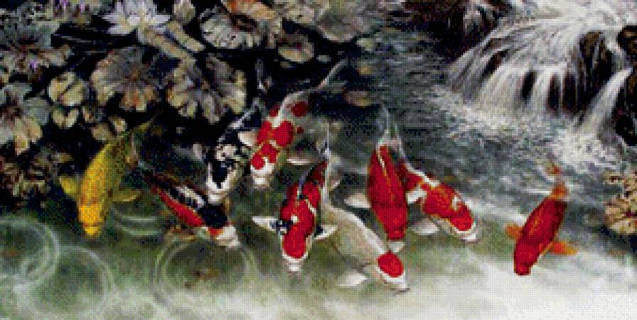 9 карпов кои - талисман, лотос, фэн-шуй, восток, животное, удача, вода, рыба, природа - предпросмотр