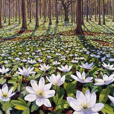 Схема вышивки «анемоны»