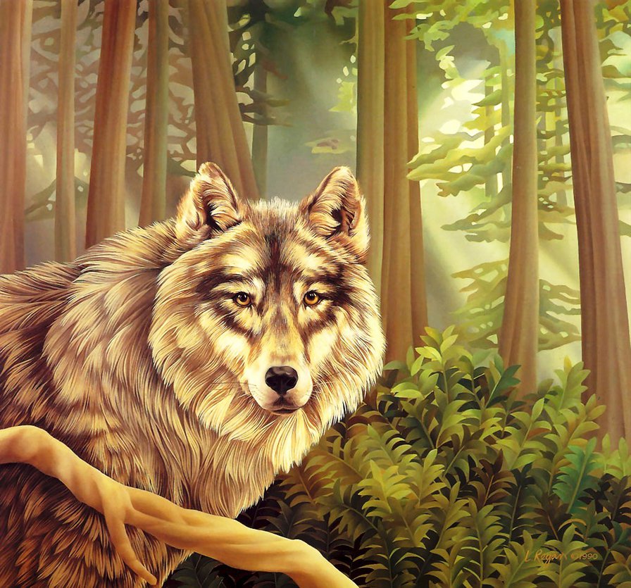 волк - волки, животные, природа, лес - оригинал