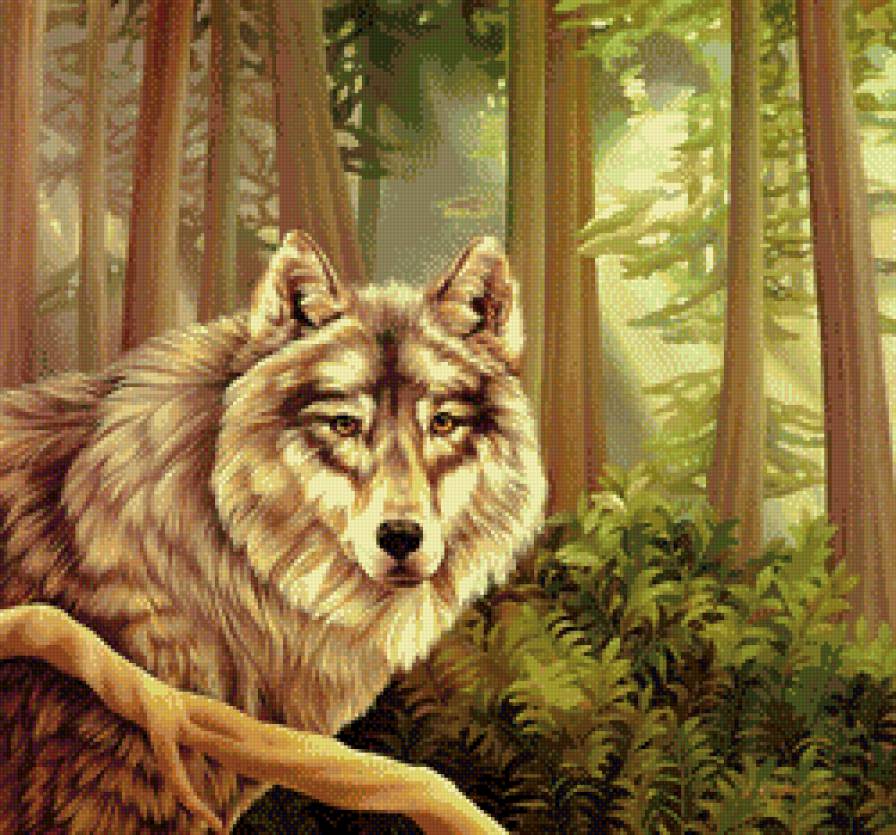 волк - природа, животные, лес, волки - предпросмотр