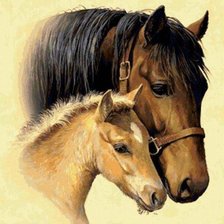 Схема вышивки «лошади»