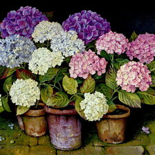 Схема вышивки «гортензия»