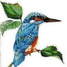 Схема вышивки «зимородок»