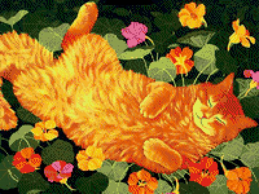 рыжий-бесстыжий - кошки, кот, цветы, природа, животные - предпросмотр