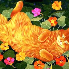 рыжий-бесстыжий