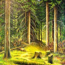 Схема вышивки «лесное озеро»