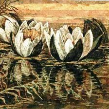 Схема вышивки «лотосы»