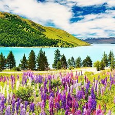 Схема вышивки «горный пейезаж»